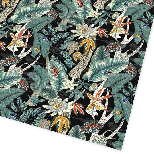 Rainforest Folded Giftwrap