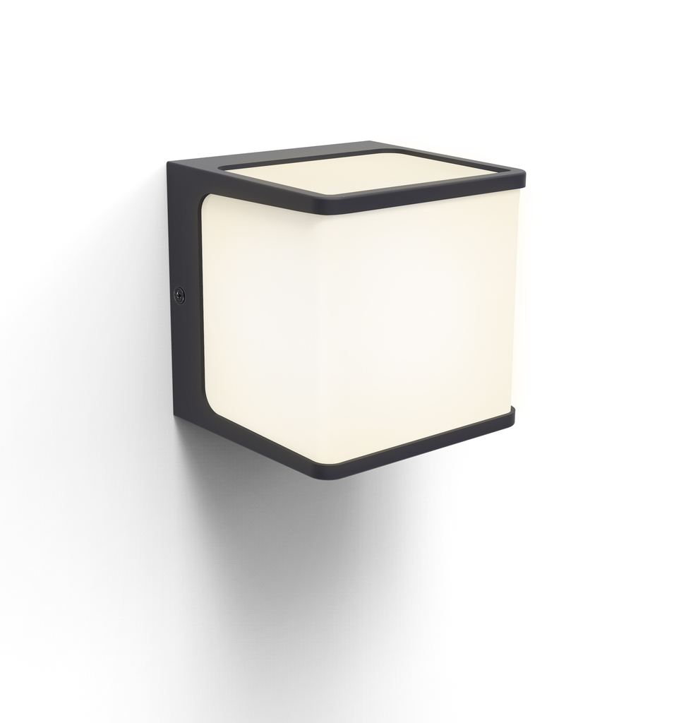 Lutec - Dublo Wall Light