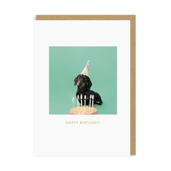 Scout Happy Birthday Greeting Card