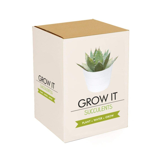 Grow It - Succulent