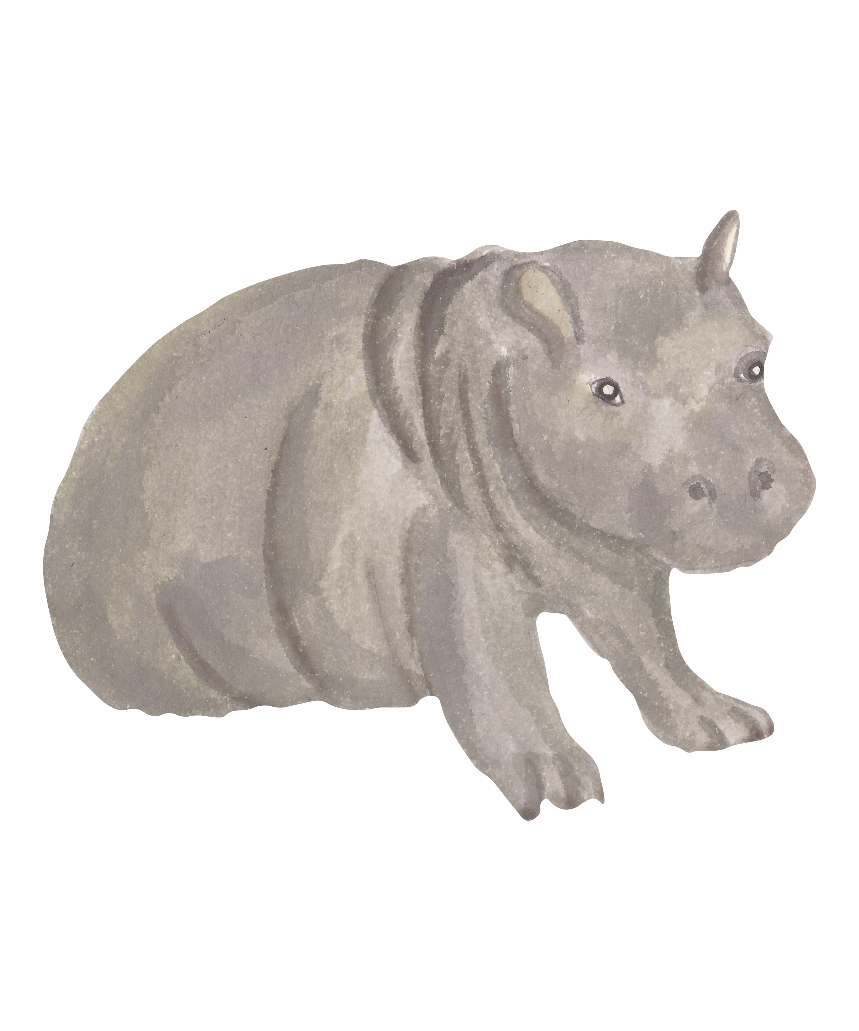 That's Mine - Wall Sticker Hippo Baby - Grey (O8089)