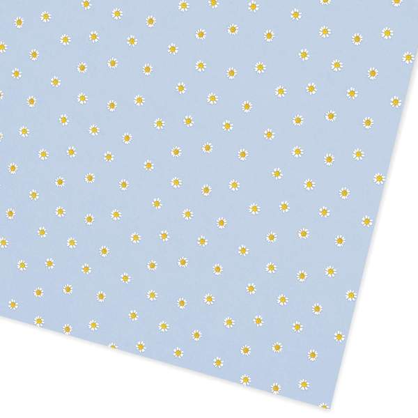 Blue Daisies Giftwrap