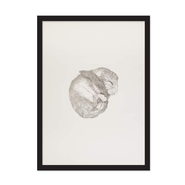 A3 Dormouse Riso Print