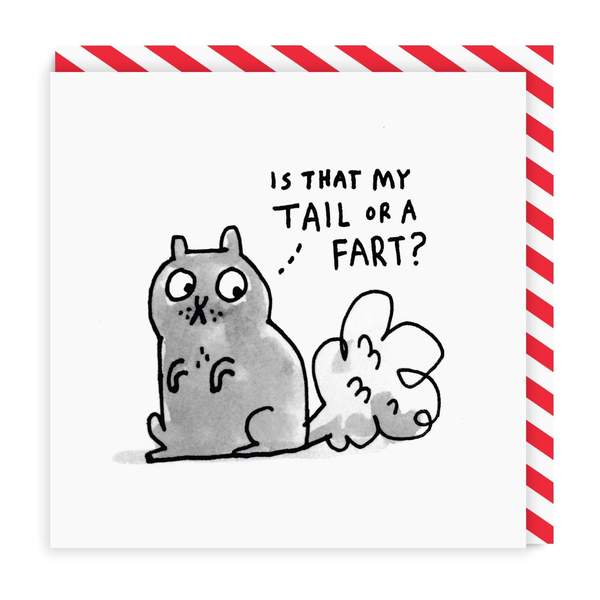 Is That My Tail Greeting Card