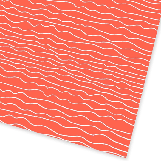 Squiggle Giftwrap