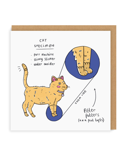 Battersea Cat Specimen Square Greeting Card