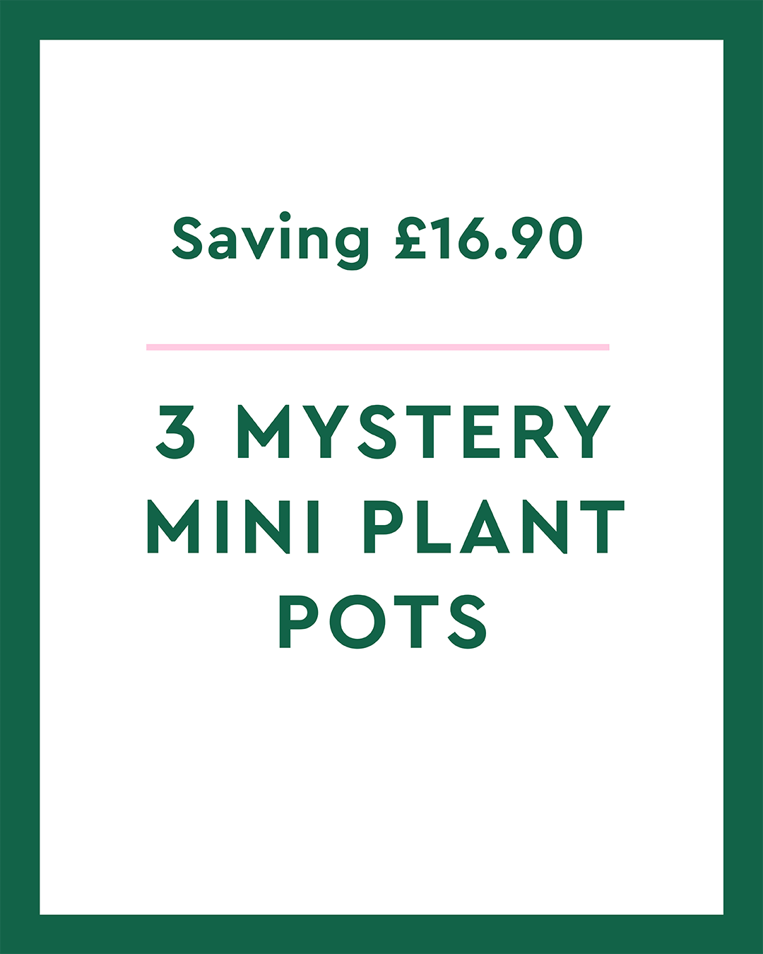 3 Mystery Mini Plant Pots