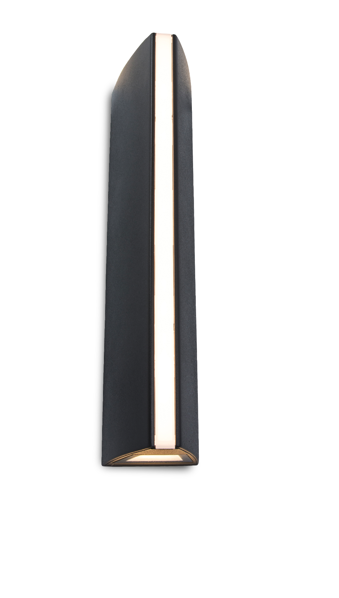 Lutec - Leo Wall Light - Black