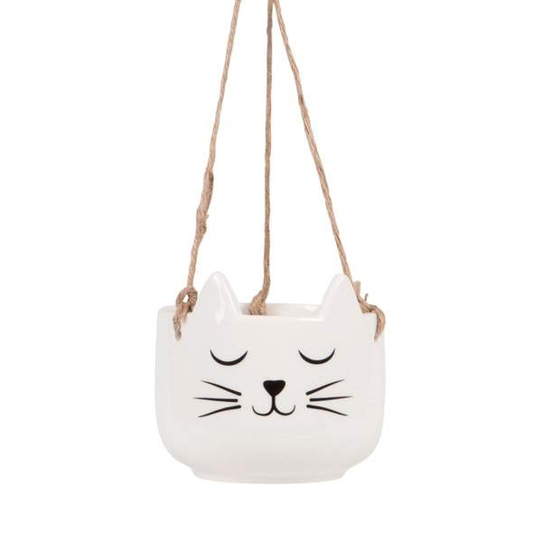 Cat's Whiskers Hanging Planter