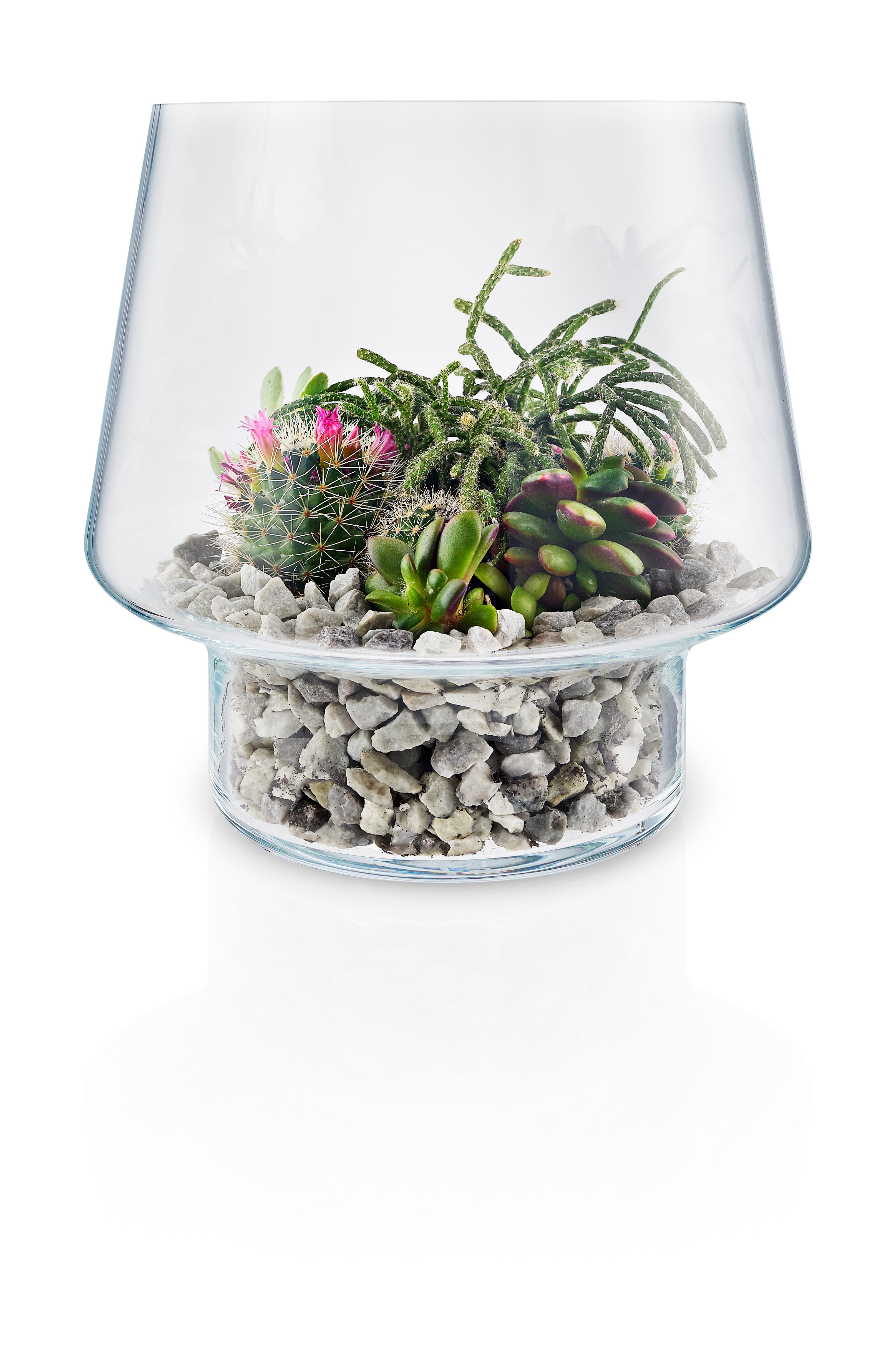 Eva Solo - Sukkulent Glass Vase Ø 21 cm - Transperant (568188)