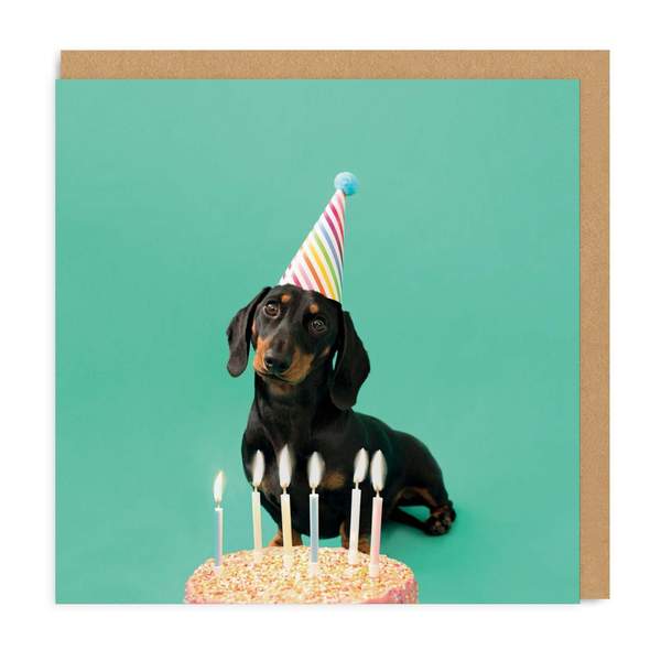 Scout Party Hat Square Birthday Greeting Card