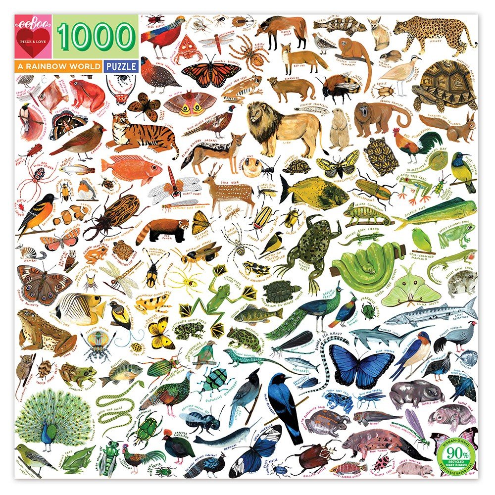 eeBoo - Puzzle - A Rainbow World, 1000 pc (EPZTRBW)