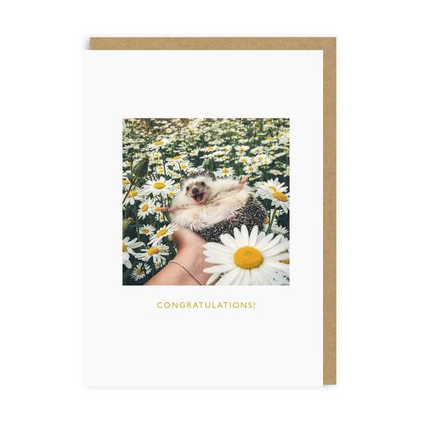 Mr.Pokee Congratulations Greeting Card