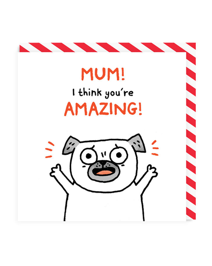 Mum I Think You're Amazing! Greeting Card