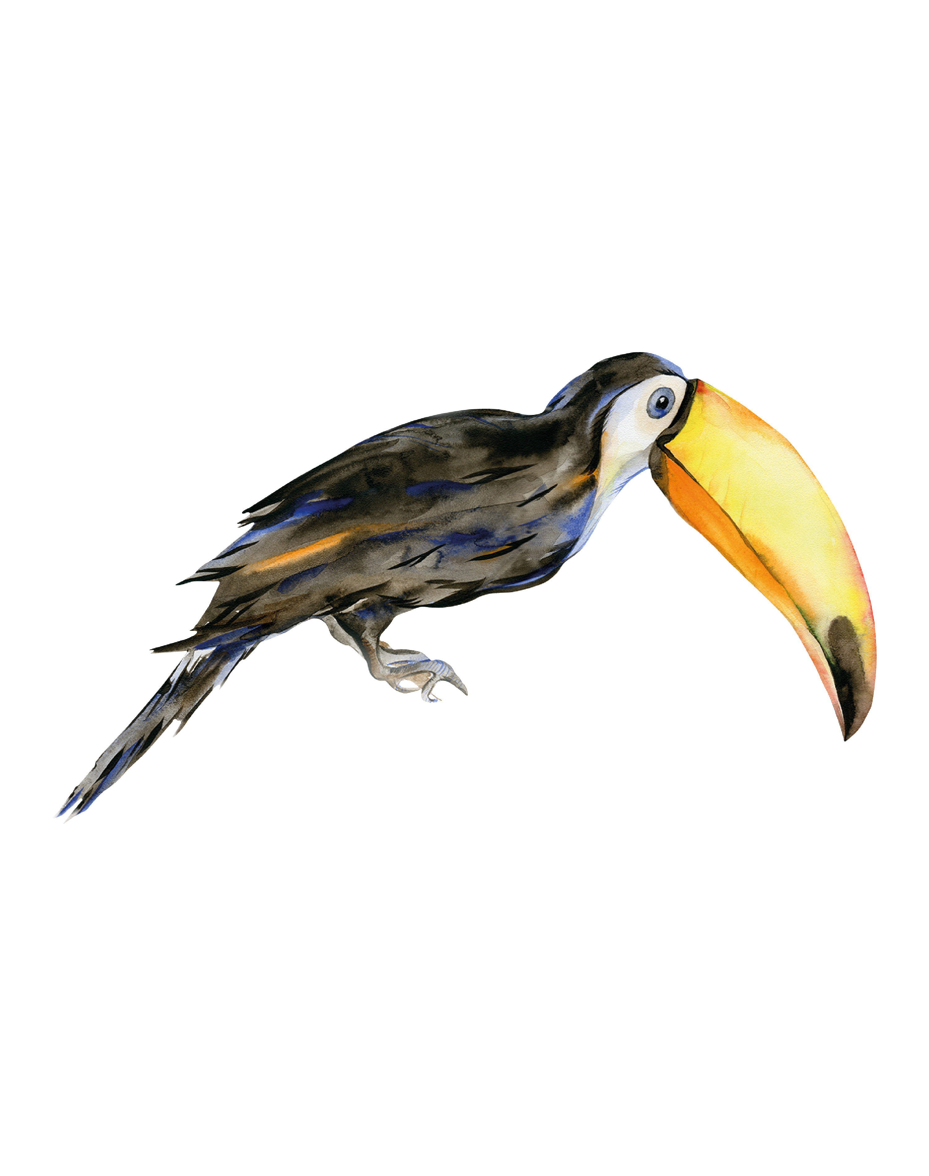 That's Mine - Wall Sticker Rafi The Toucan - Greyish (O8051)