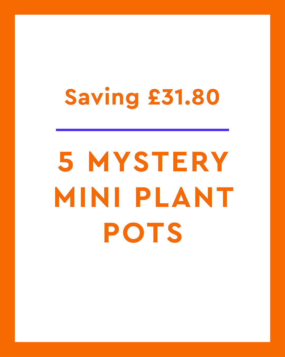 5 Mystery Mini Plant Pots