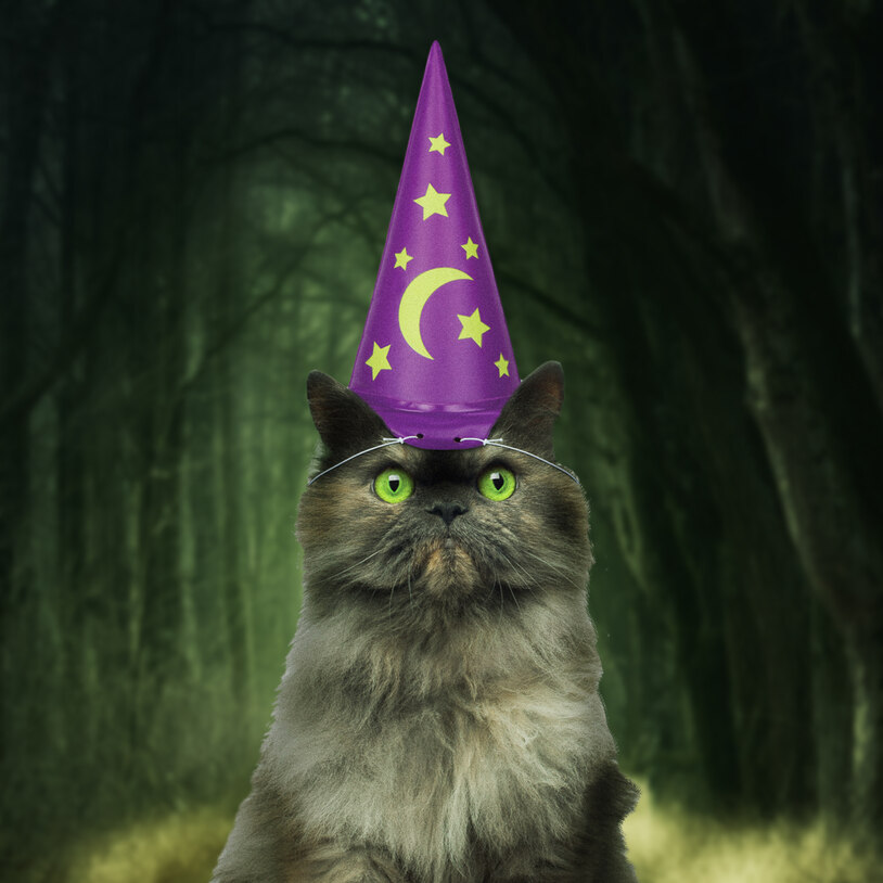 Cat Wizard Hat (22897)
