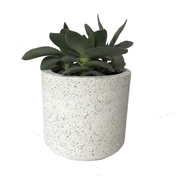 Cylinder Granite White Pot