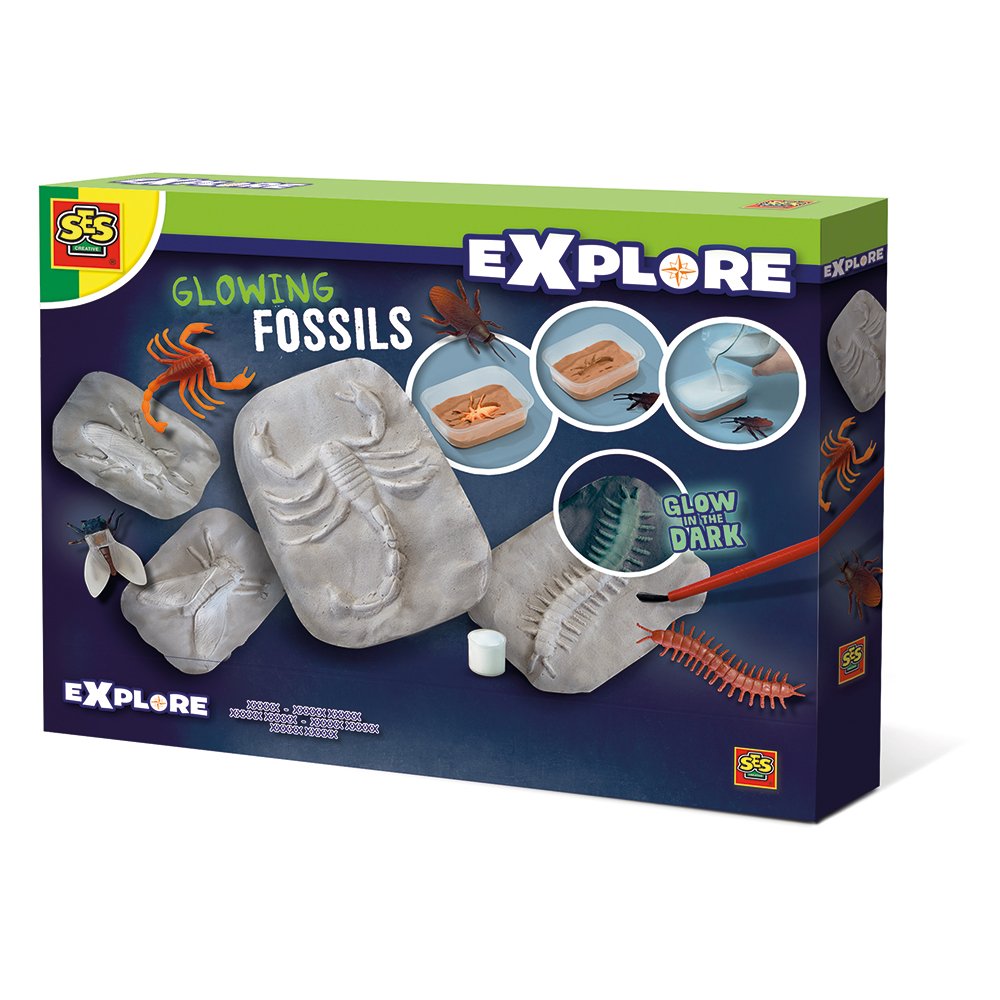 Ses Creative - Glowing fossils (S25073)