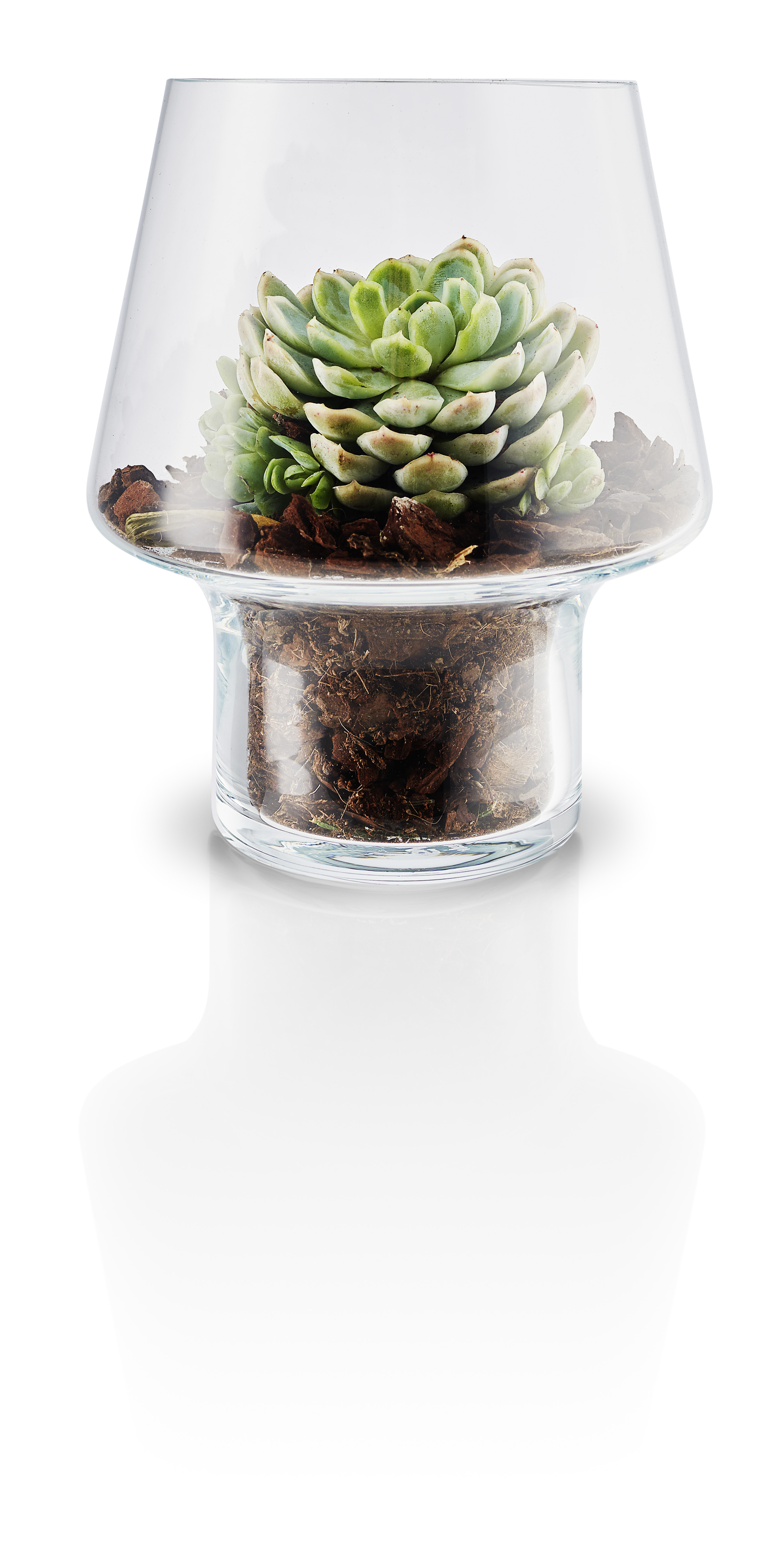 Eva Solo - Sukkulent Glass Vase Ø 15 cm - Transperant (568187)