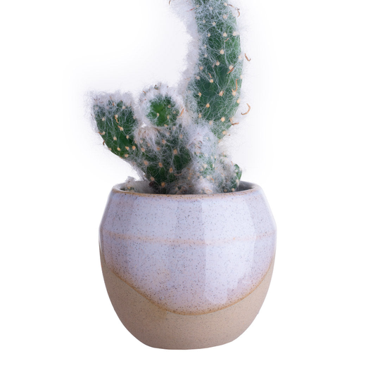 Orange Half Dip Glaze Mini Plant Pot