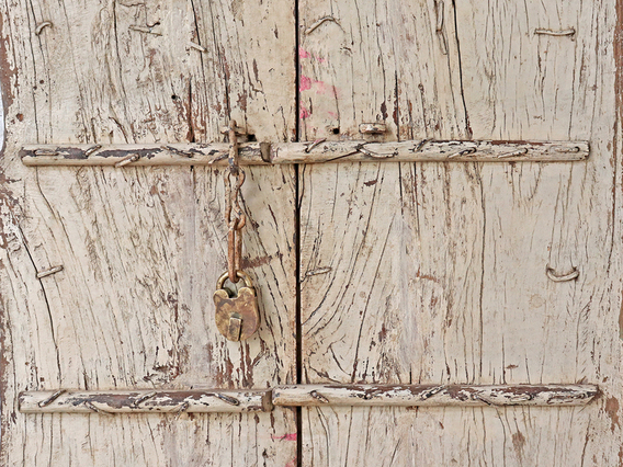 Antique Indian Doors - White White