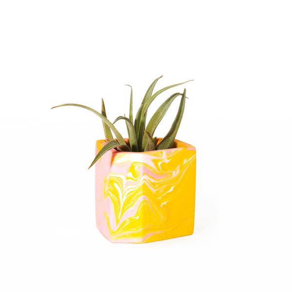 Mini Mustard & Pink Irregular Plant Pot