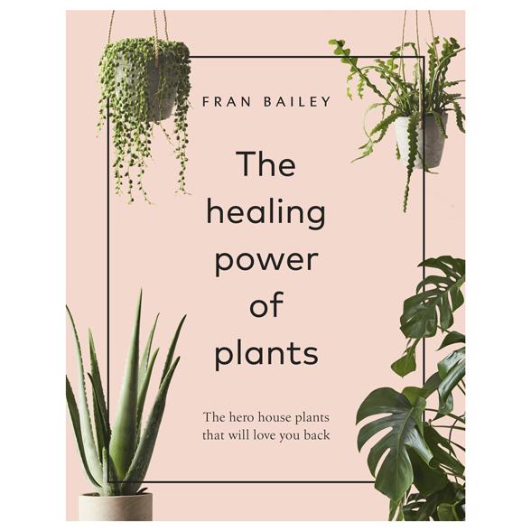 Healing Power of Plants