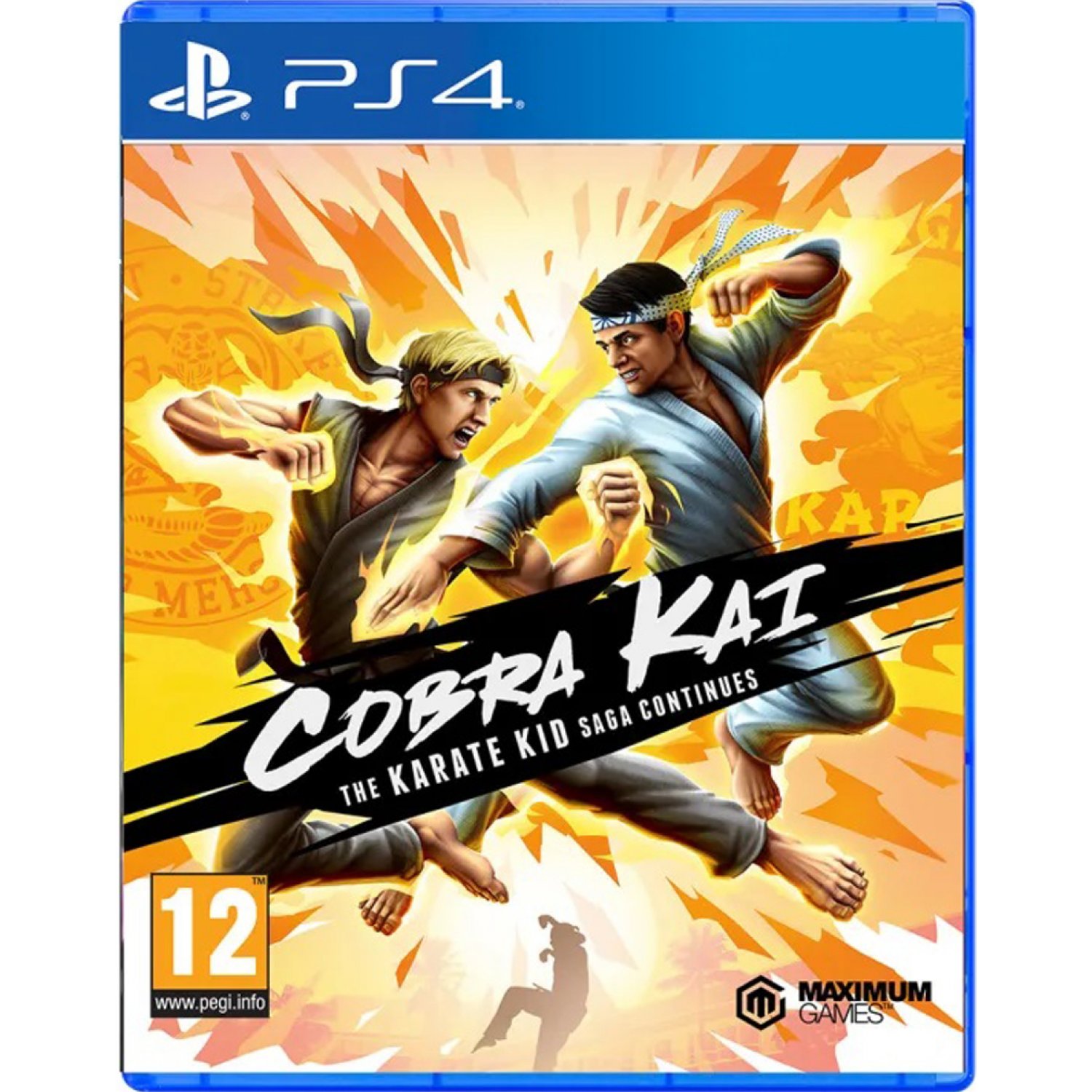 Cobra Kai The Karate Kid Saga