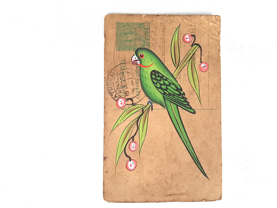 Pretty Parrot Vintage Postcard Small