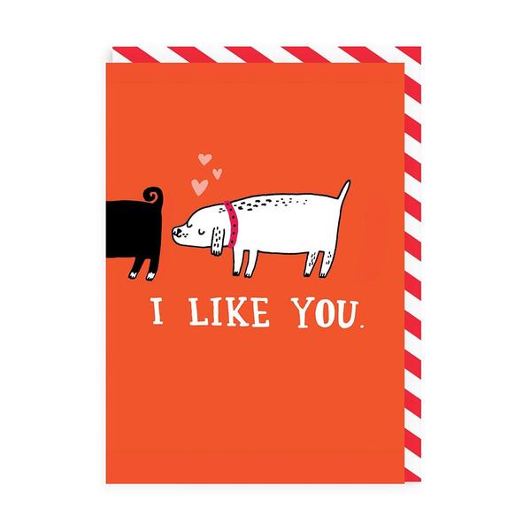 I Like You Greeting Card