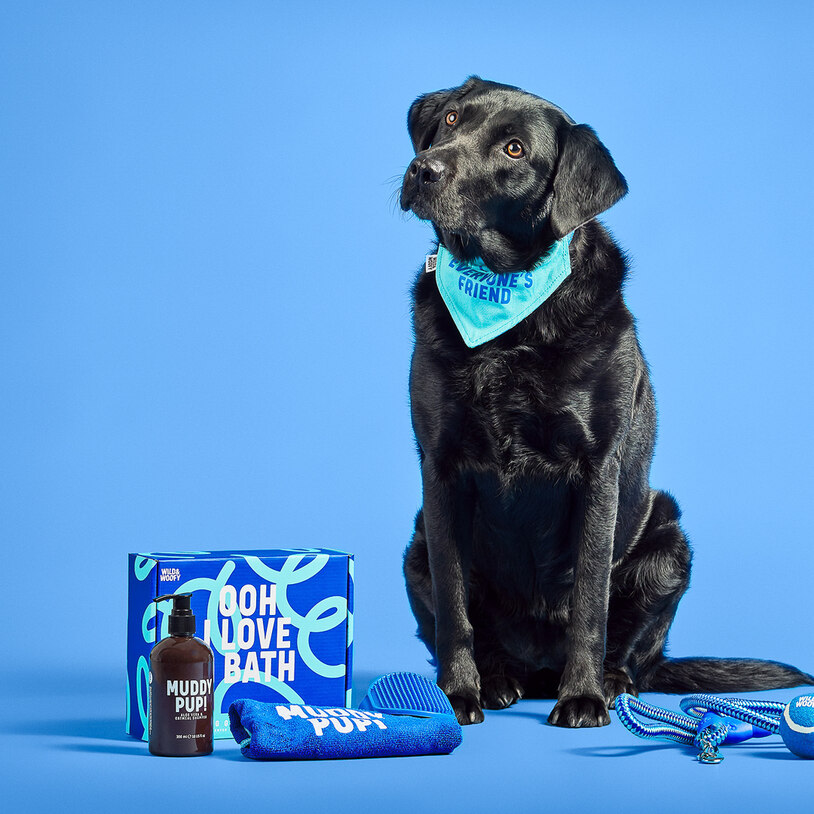 Dog Grooming Kit (22874)