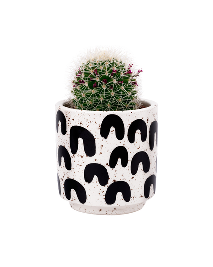 Dark Patrone Plant Pot