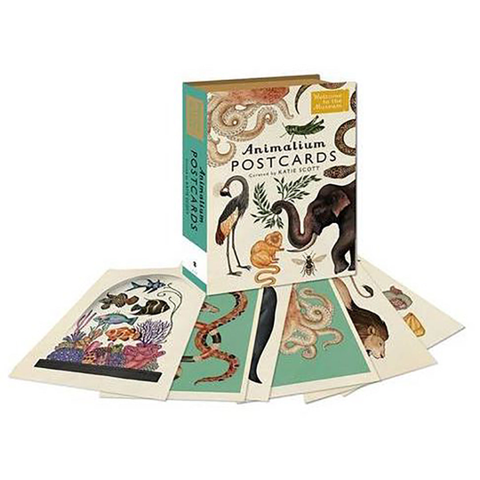 Animalium Postcard Set