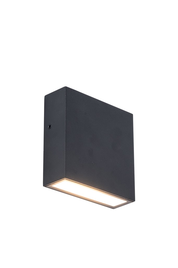 Lutec - Gemini XF Wall Light