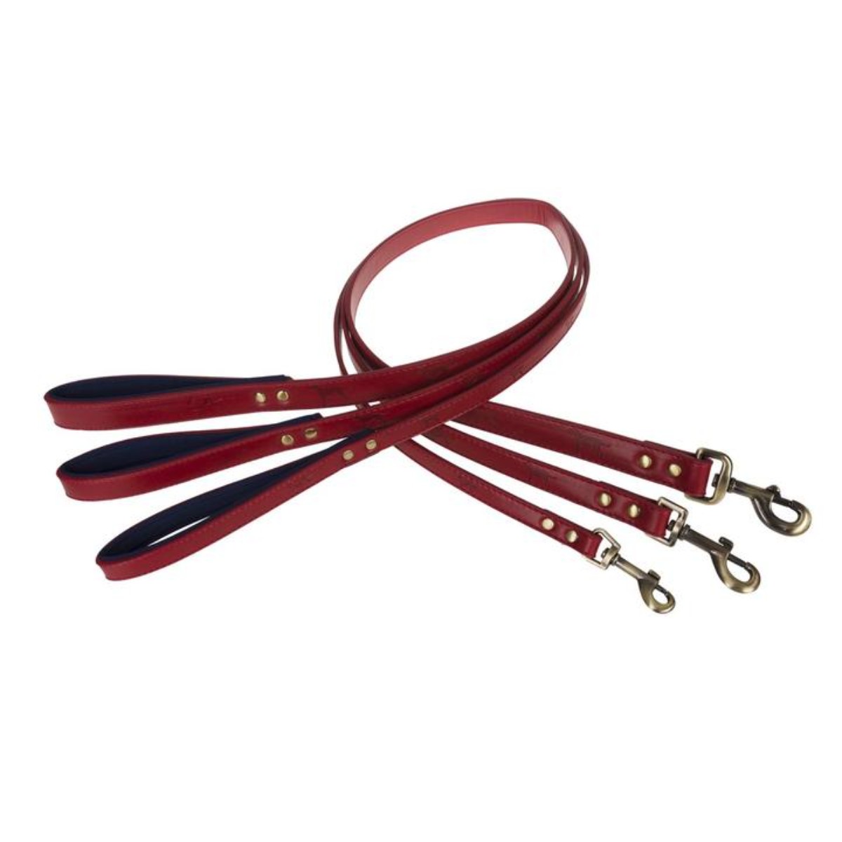 Sophie Allport | Red Dog Lead Large