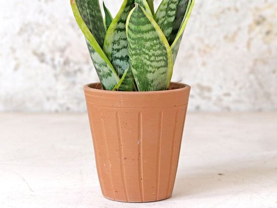 Fluted Terracotta Pot - Medium