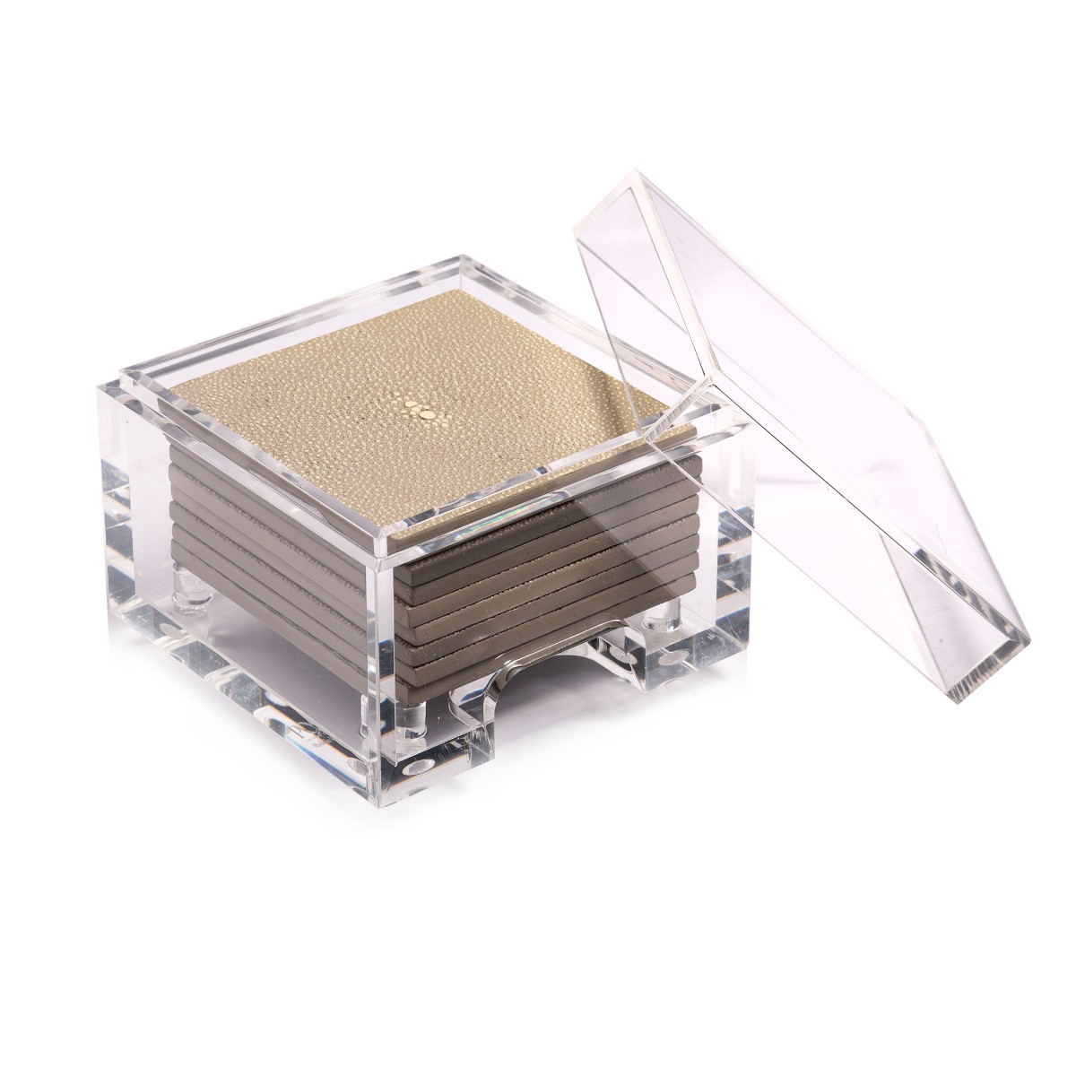 Posh Trading I Coasters I Coastbox Clear I Clear Shagreen Natural