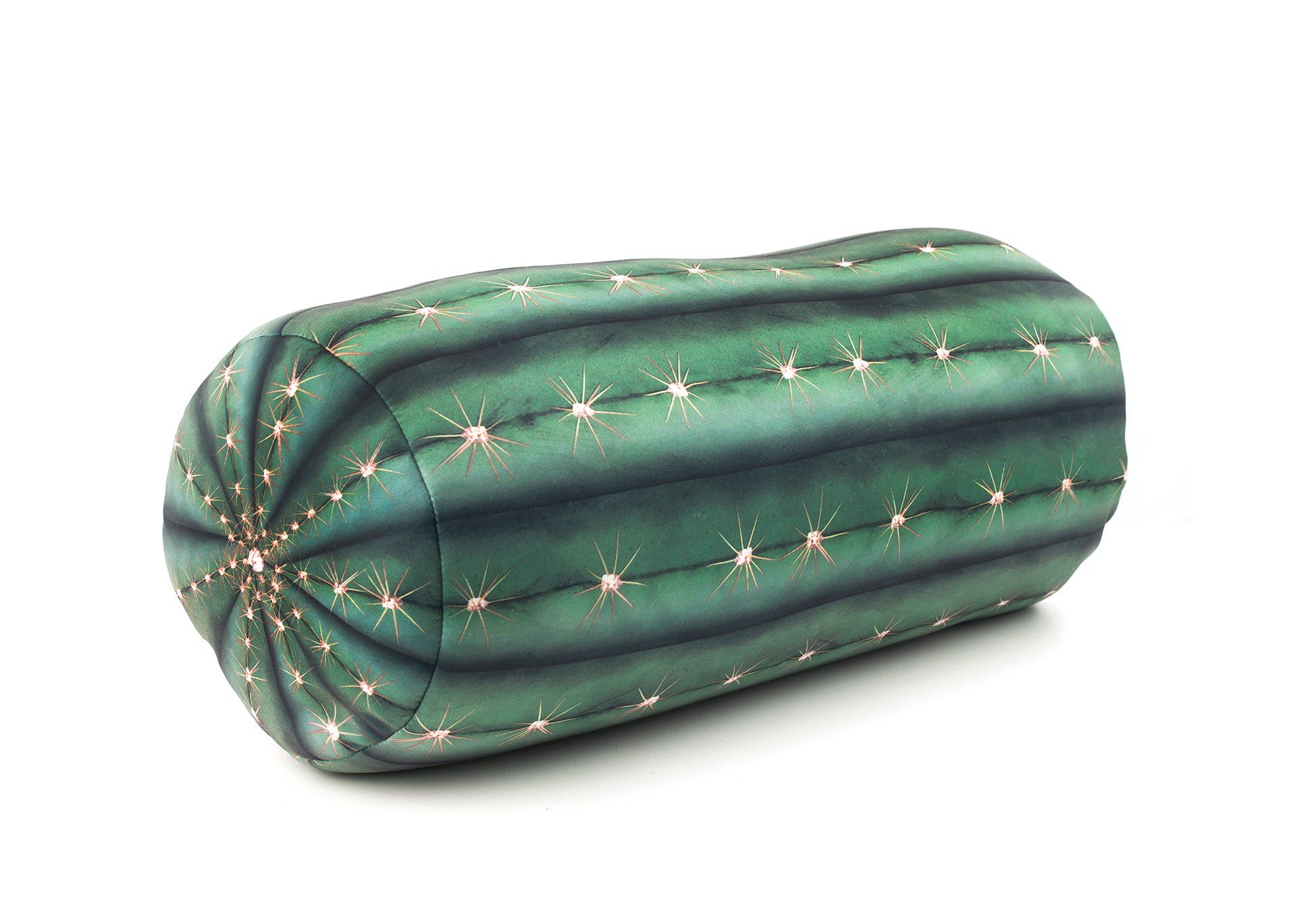 Cactus Pillow (TT34)