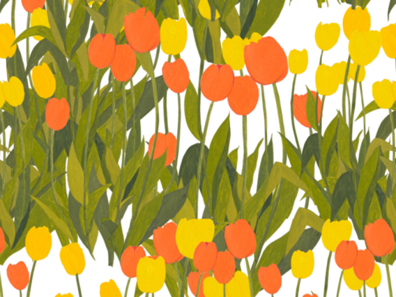 In Bloom Wallpaper Sample-Sunshine-IB1902SSS