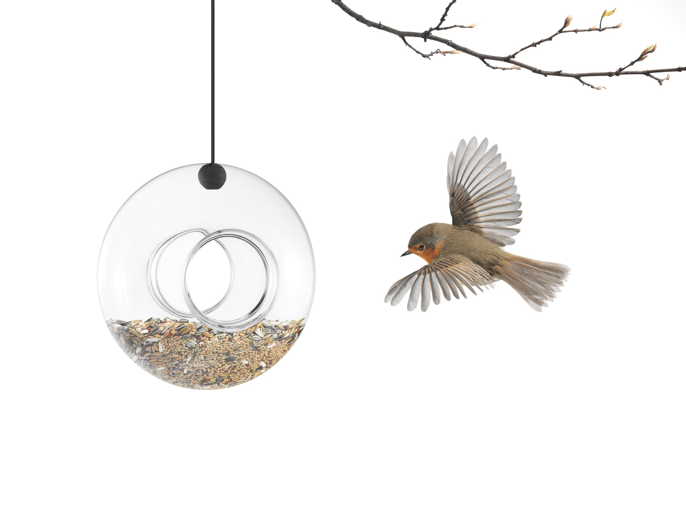 Eva Solo - Bird Feeder - Glass (571030)