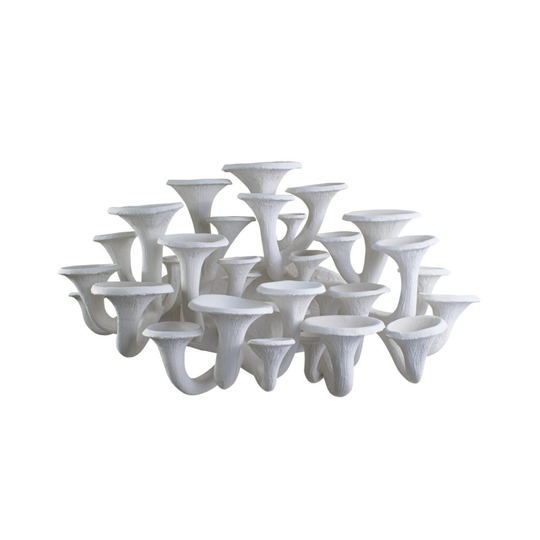 Porta Romana | Mushroom Wall Light Large