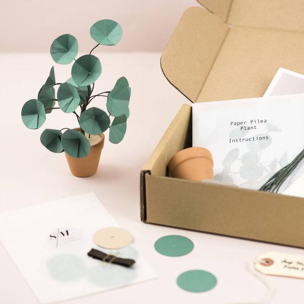 Mini Pilea Plant Paper Craft Kit