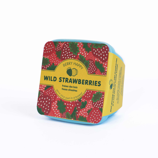 Berry Happy - Wild Strawberry Mini Planter