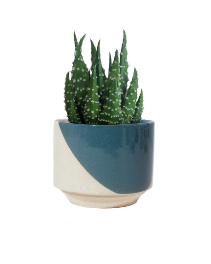Blue Java Plant Pot