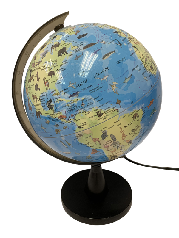 SCIENCE - Globe with animals and light 20 cm (TY6190)