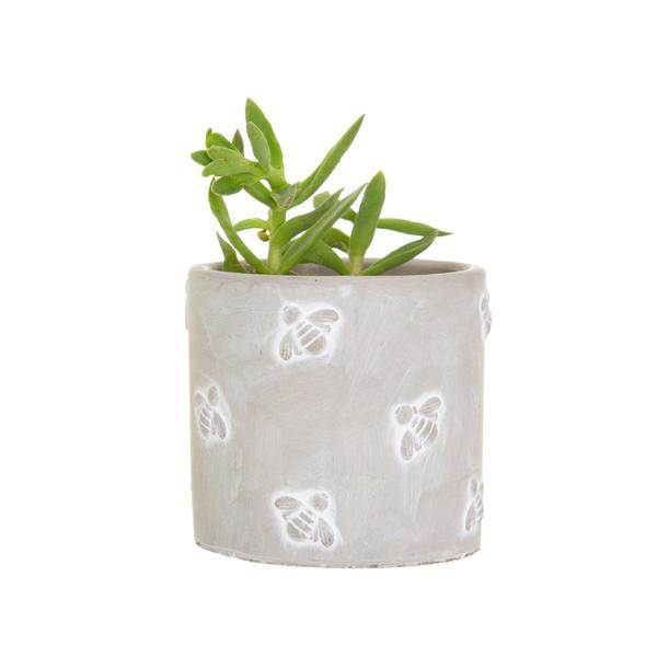 Mini Queen Bee Cement Planter