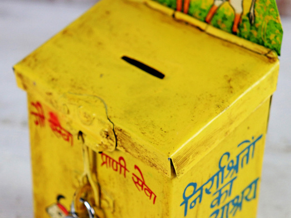 Yellow Money Box