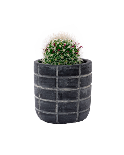 Grey Patterned Mini Plant Pot