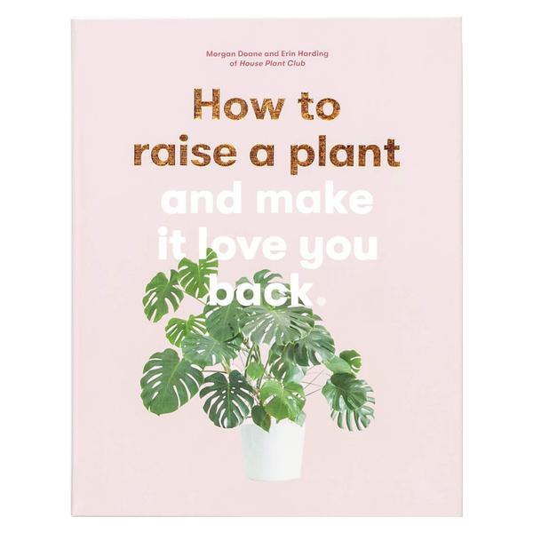 How To Raise A Plant And Make It Love You Back